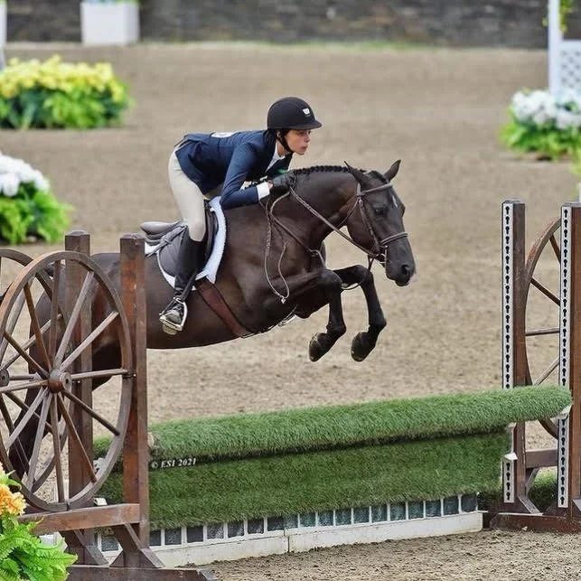 Hunters, Jumpers & Equitation Horses for Sale & Lease — Pennyless Farms