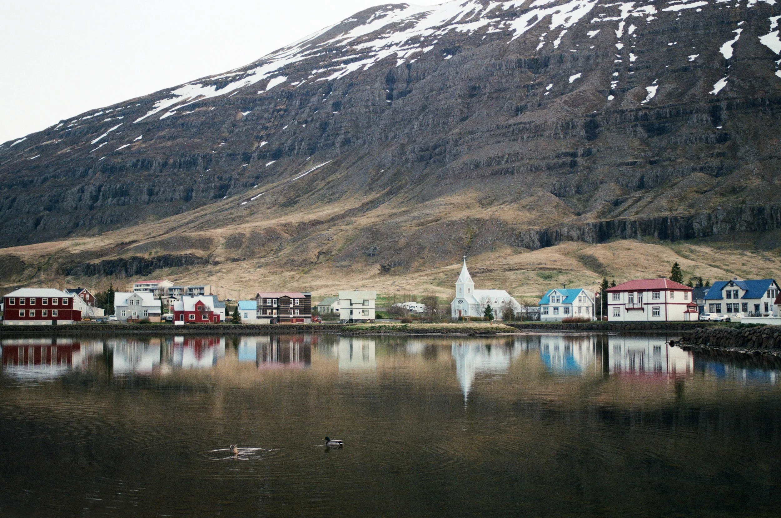 Colourful waterfront houses reflected in calm water beneath a snow-streaked mountain in Iceland