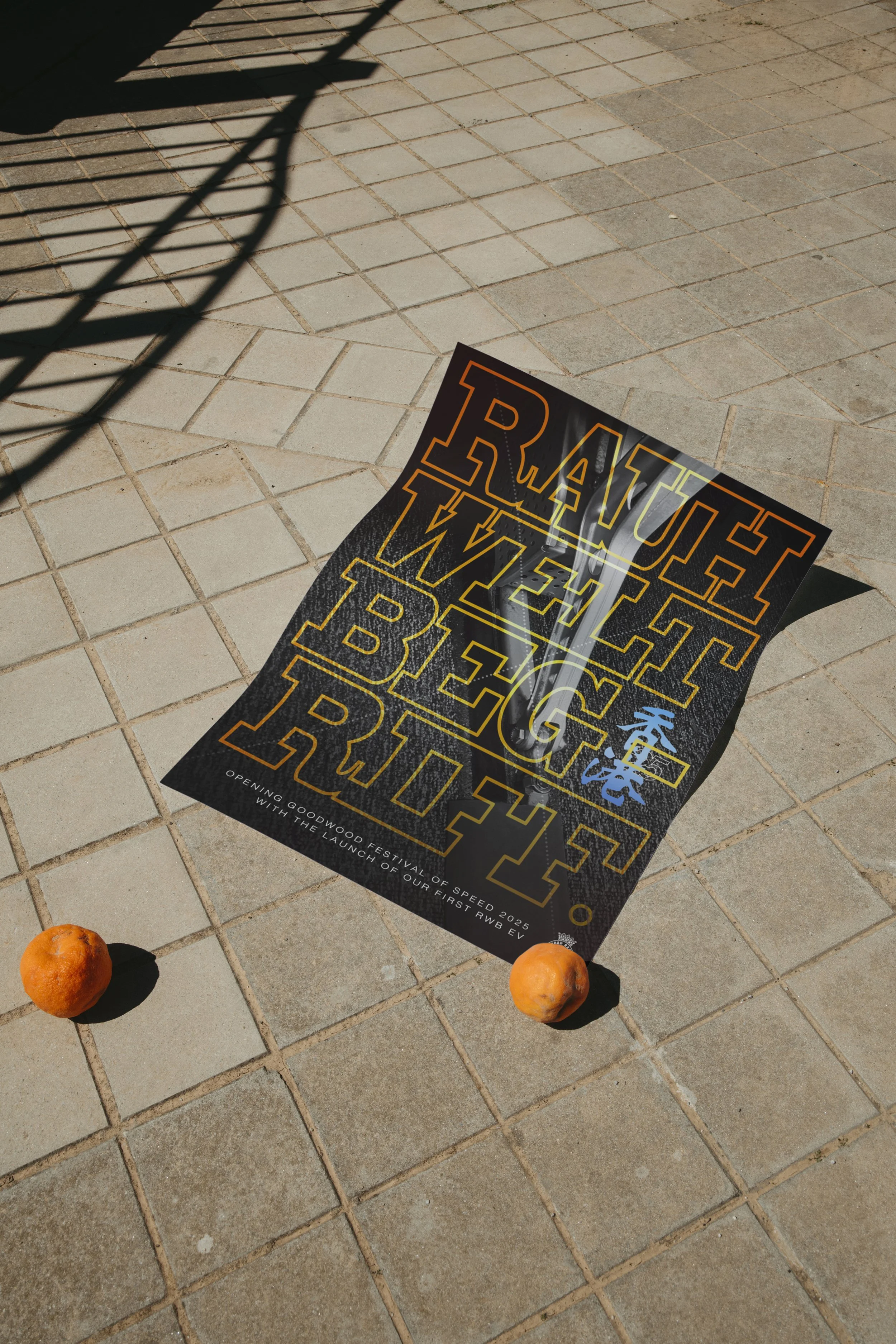 Independent promotional poster design for Rauh-Welt Begriff