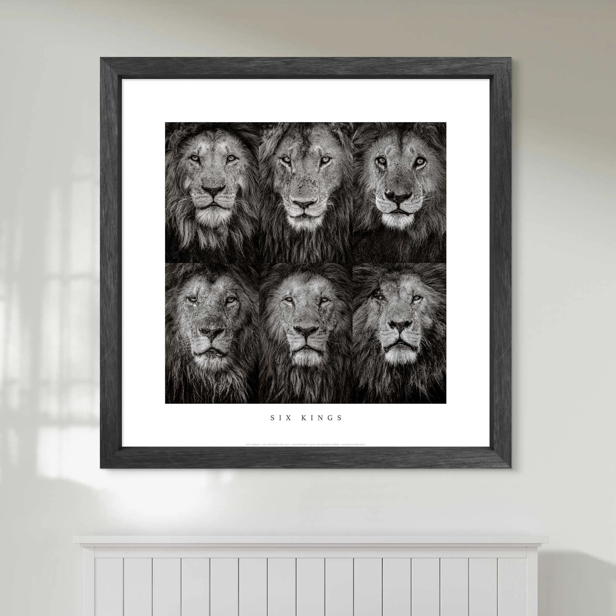 store-six-kings-02.jpg