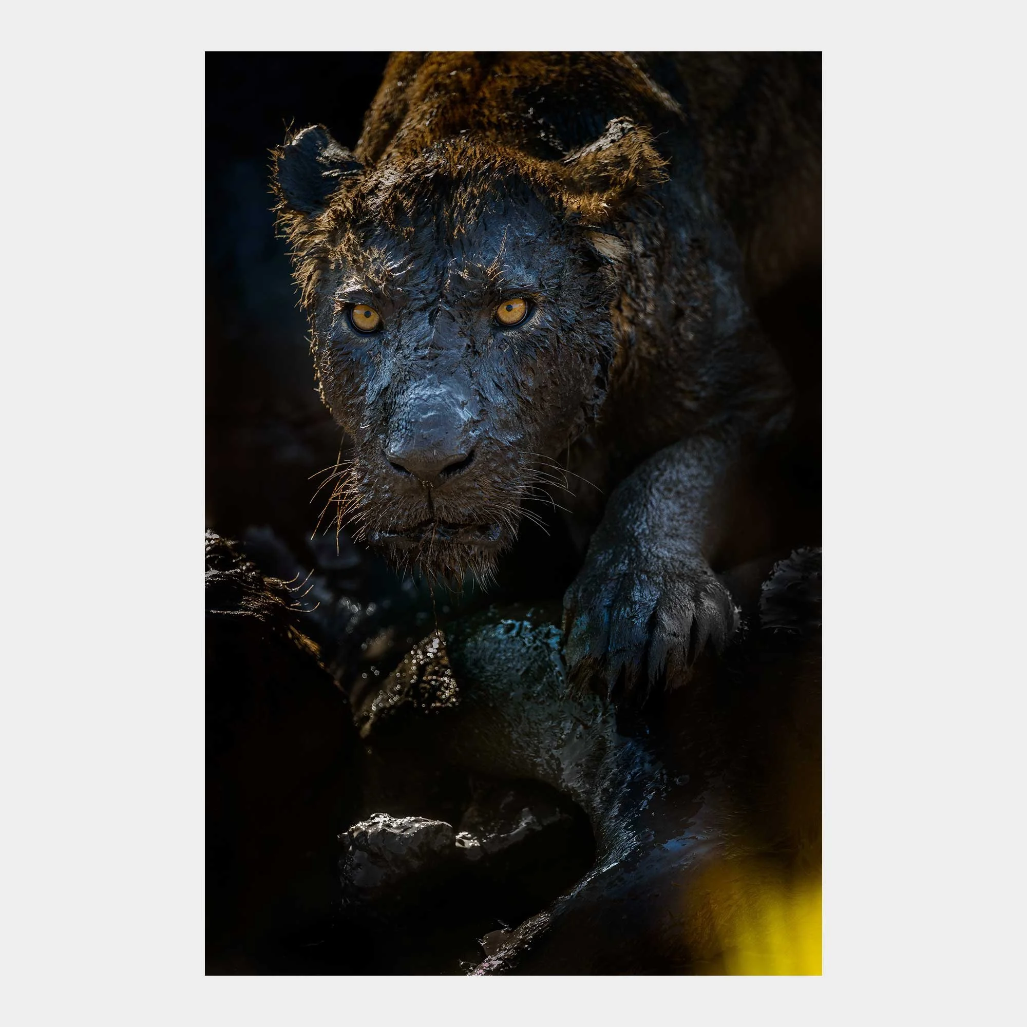 store-mud-monster-01.jpg