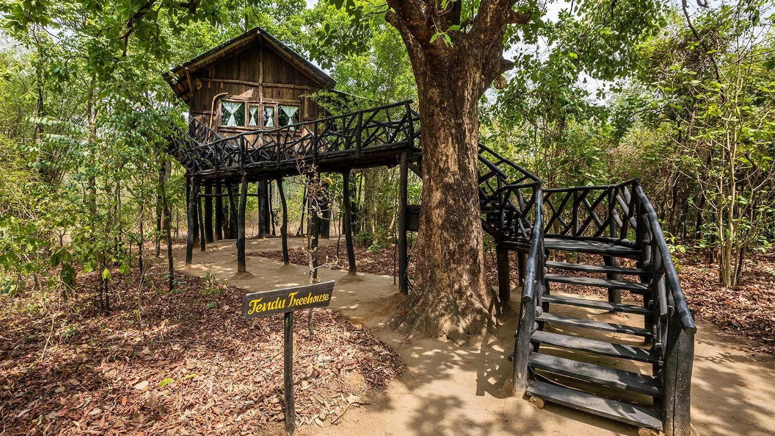 tree-house-hideaway-bandhavgarh.jpg