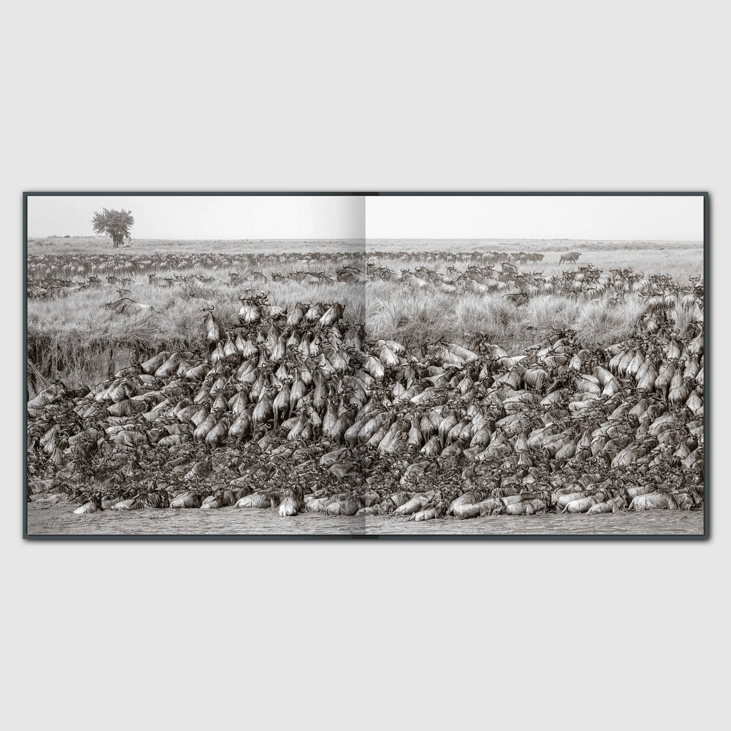 store-AE-spread-03.jpg