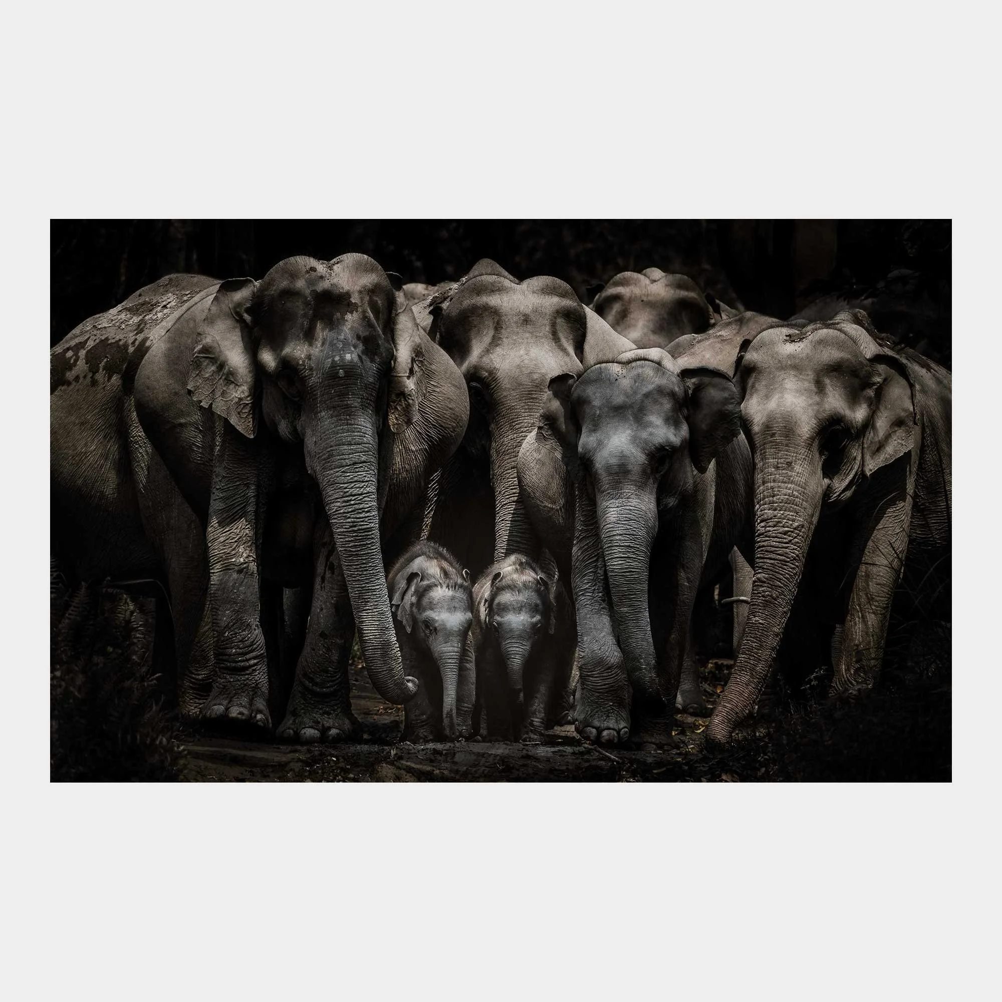 store-kaziranga-01.jpg