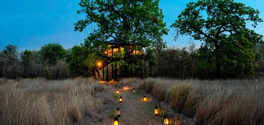 Path lined with lanterns leading to a lit treehouse surrounded by trees and tall grass at dusk.