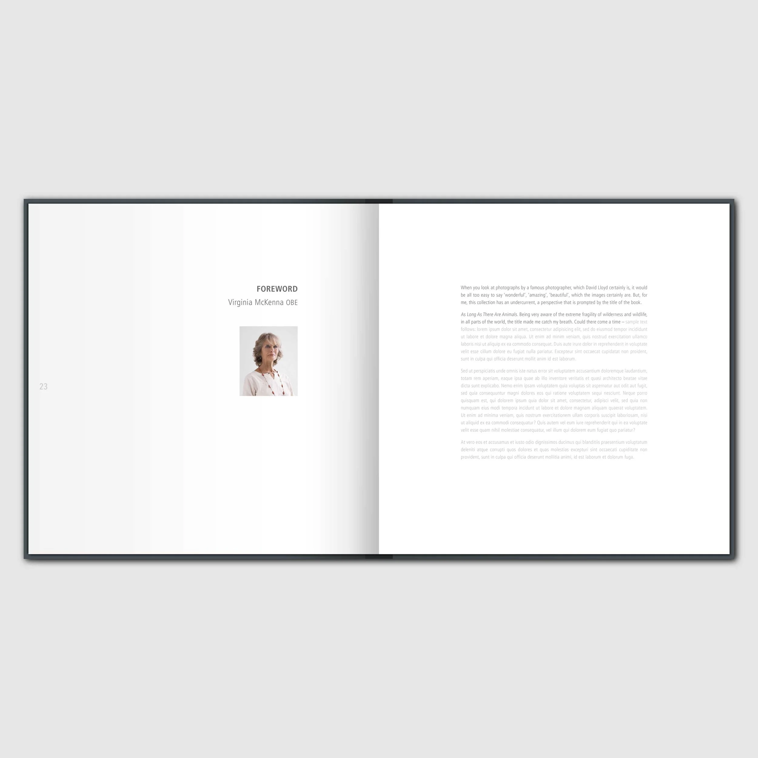 store-AE-spread-02.jpg