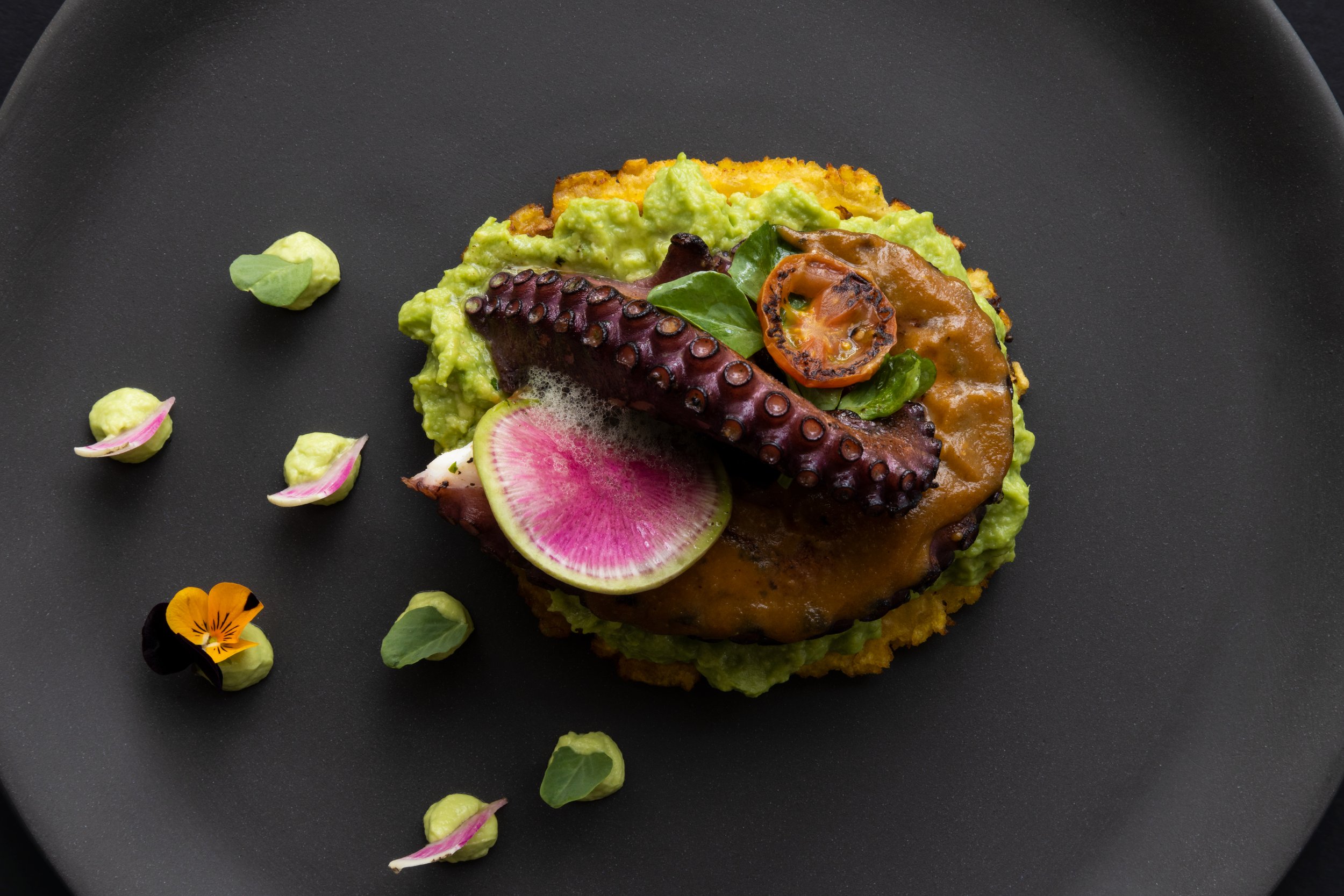 OCTOPUS_SALAD_165-R.jpg