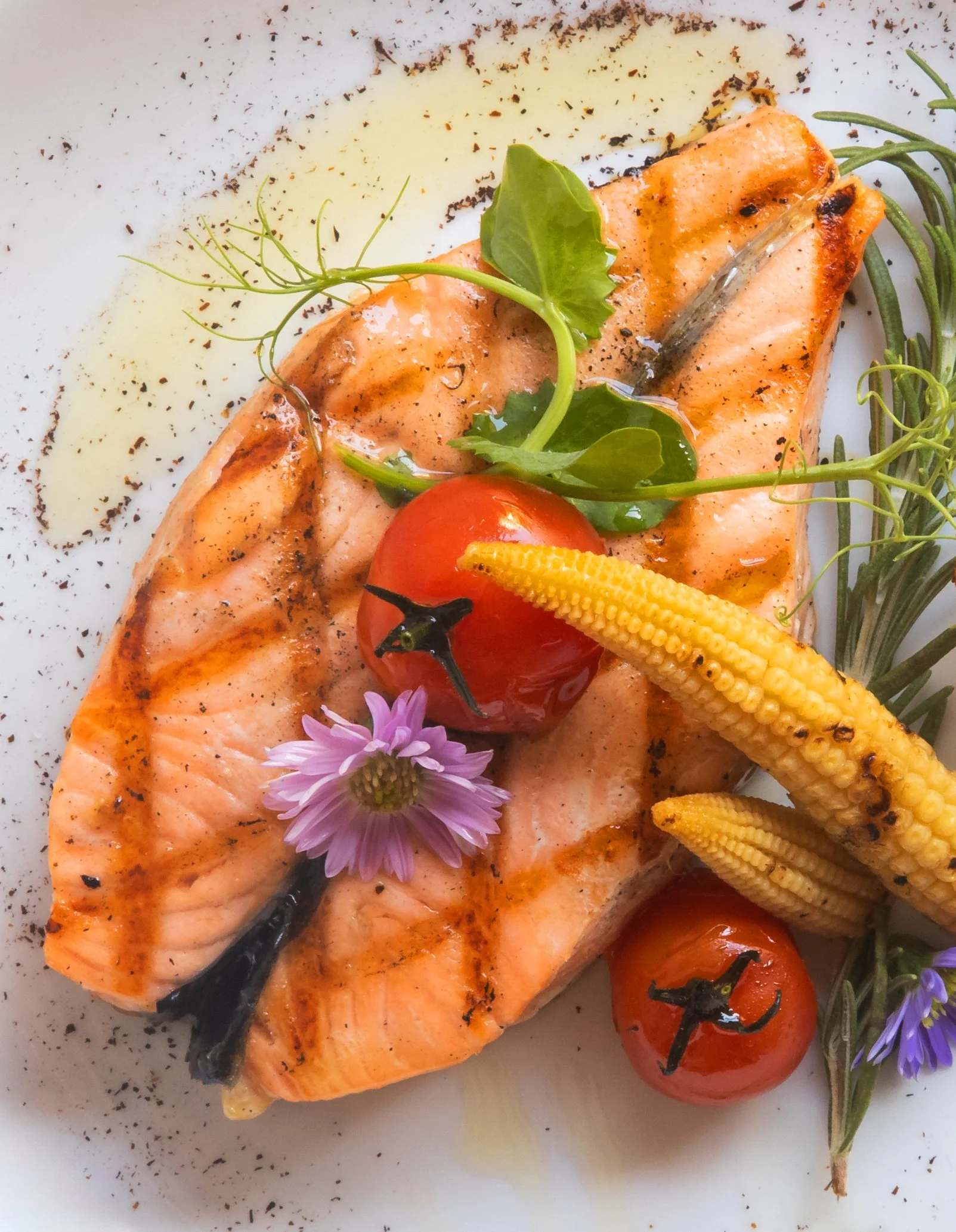 14_salmon_3515-R.jpg