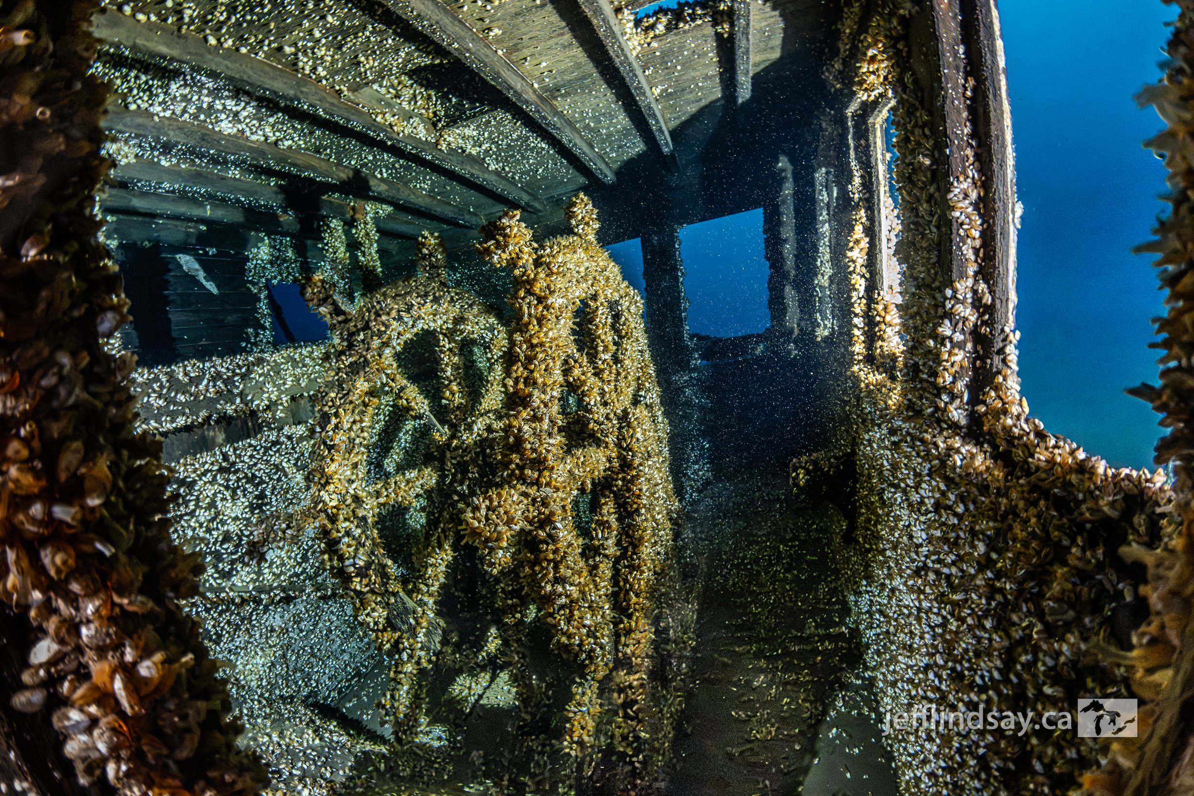 SS Ohio Double Wheel