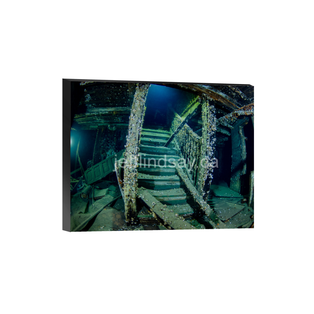 ptq_32_6_424_0_4080_3264_0_false_ffffff_0_0_91012b8dc3c2450bbc26c1a89706f0d0.png