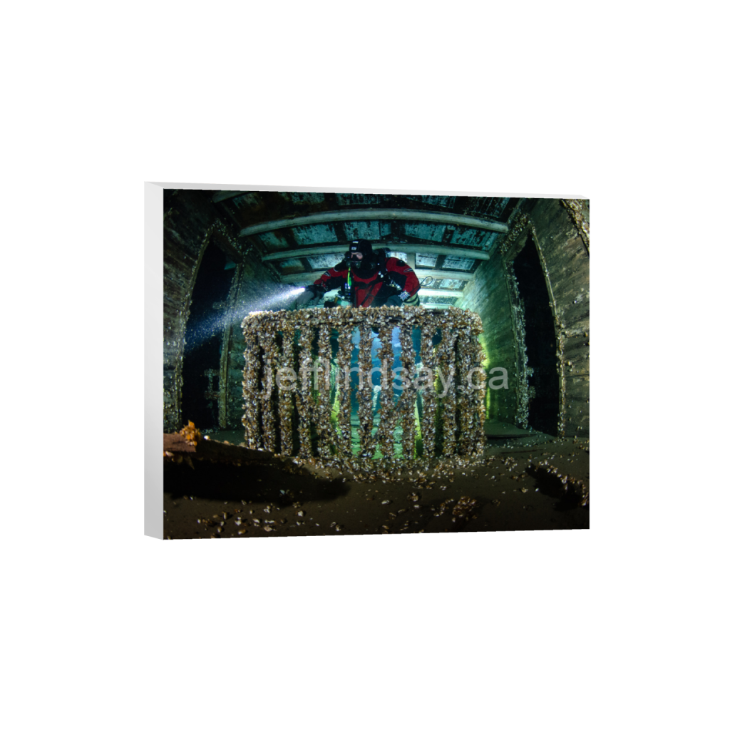 ptq_7_6_424_0_4080_3264_0_false_ffffff_0_0_91012b8dc3c2450bbc26c1a89706f0d0.png