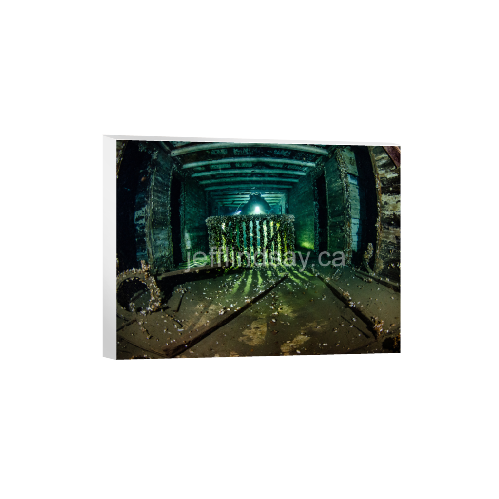 ptq_7_5_288_0_4352_3264_0_false_ffffff_0_0_91012b8dc3c2450bbc26c1a89706f0d0.png