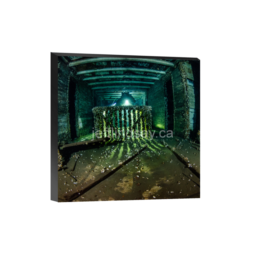 ptq_32_0_832_0_3264_3264_0_false_ffffff_0_0_91012b8dc3c2450bbc26c1a89706f0d0.png