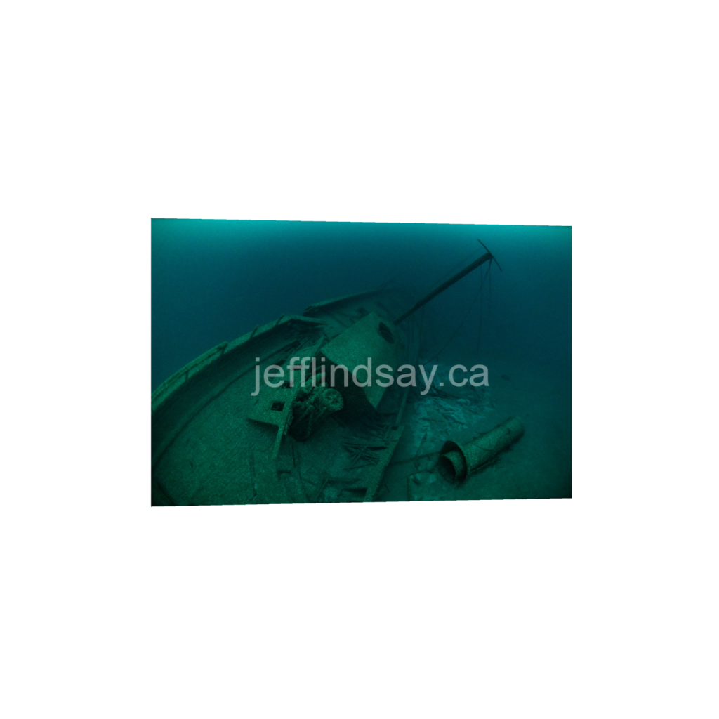 ptq_1_3_0_0_8256_5504_0_false_ffffff_0_0_91012b8dc3c2450bbc26c1a89706f0d0.png