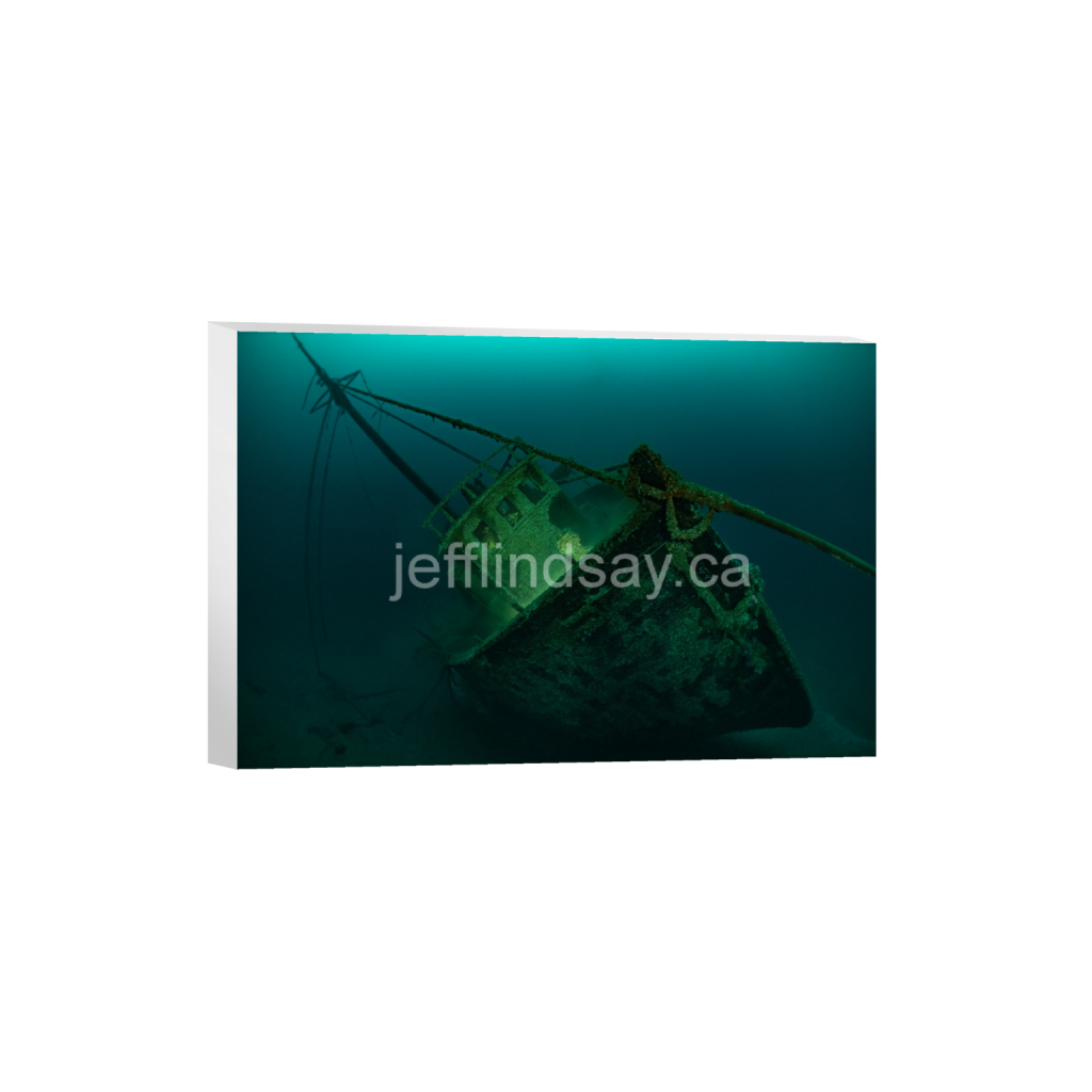 ptq_7_3_0_0_8256_5504_0_false_ffffff_0_0_91012b8dc3c2450bbc26c1a89706f0d0.png