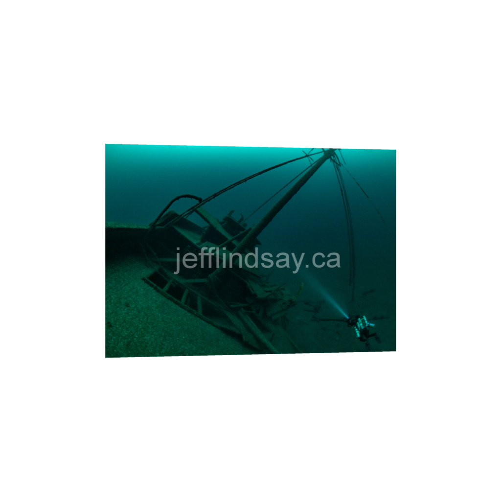 ptq_1_7_275_0_7705_5504_0_false_ffffff_0_0_91012b8dc3c2450bbc26c1a89706f0d0.png