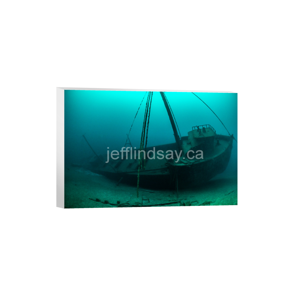 ptq_7_3_0_0_8256_5504_0_false_ffffff_0_0_91012b8dc3c2450bbc26c1a89706f0d0.png