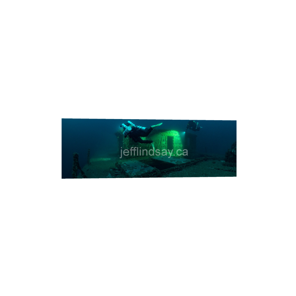 ptq_1_2_0_1155_6934_2311_0_false_ffffff_0_0_91012b8dc3c2450bbc26c1a89706f0d0.png
