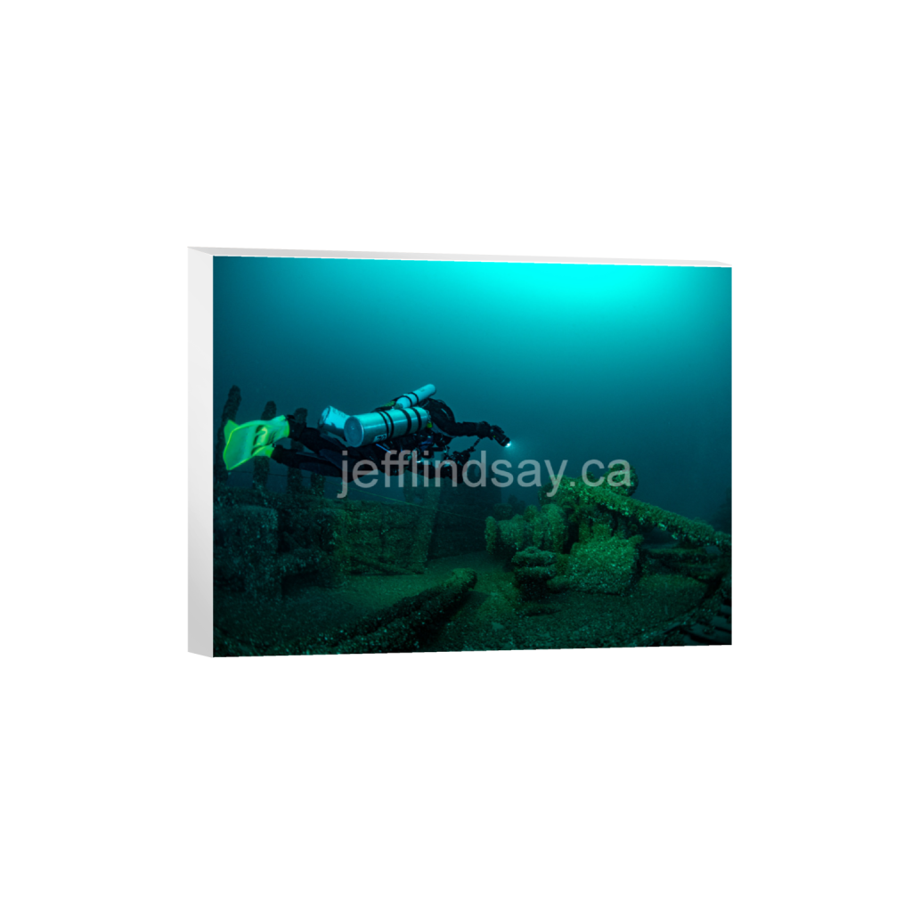 ptq_7_5_458_0_7338_5504_0_false_ffffff_0_0_91012b8dc3c2450bbc26c1a89706f0d0.png