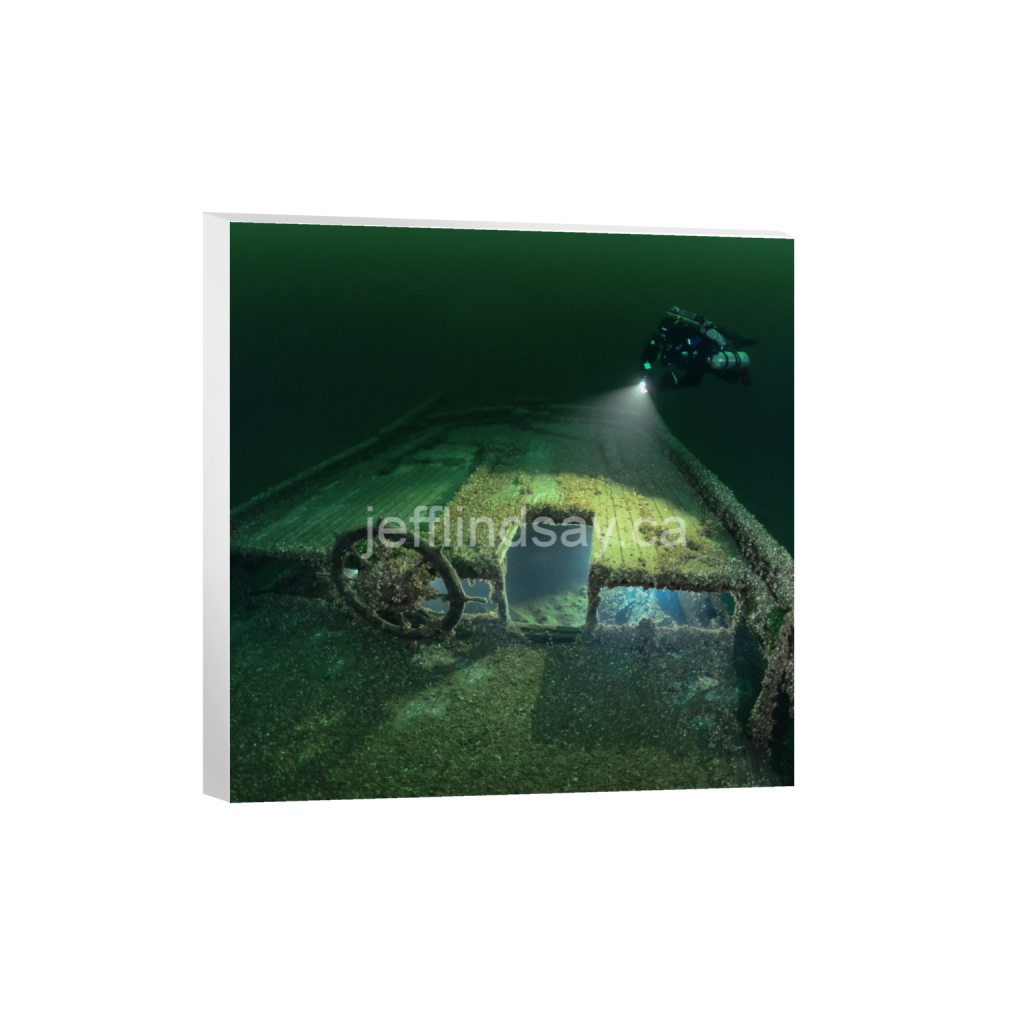 ptq_7_0_832_0_3264_3264_0_false_ffffff_0_0_91012b8dc3c2450bbc26c1a89706f0d0.png