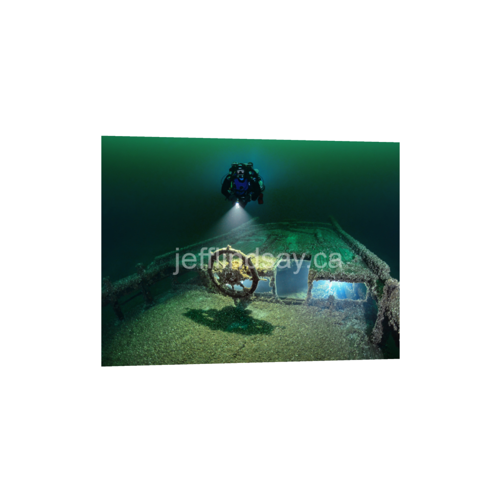 ptq_34_5_288_0_4352_3264_0_false_ffffff_0_0_91012b8dc3c2450bbc26c1a89706f0d0.png