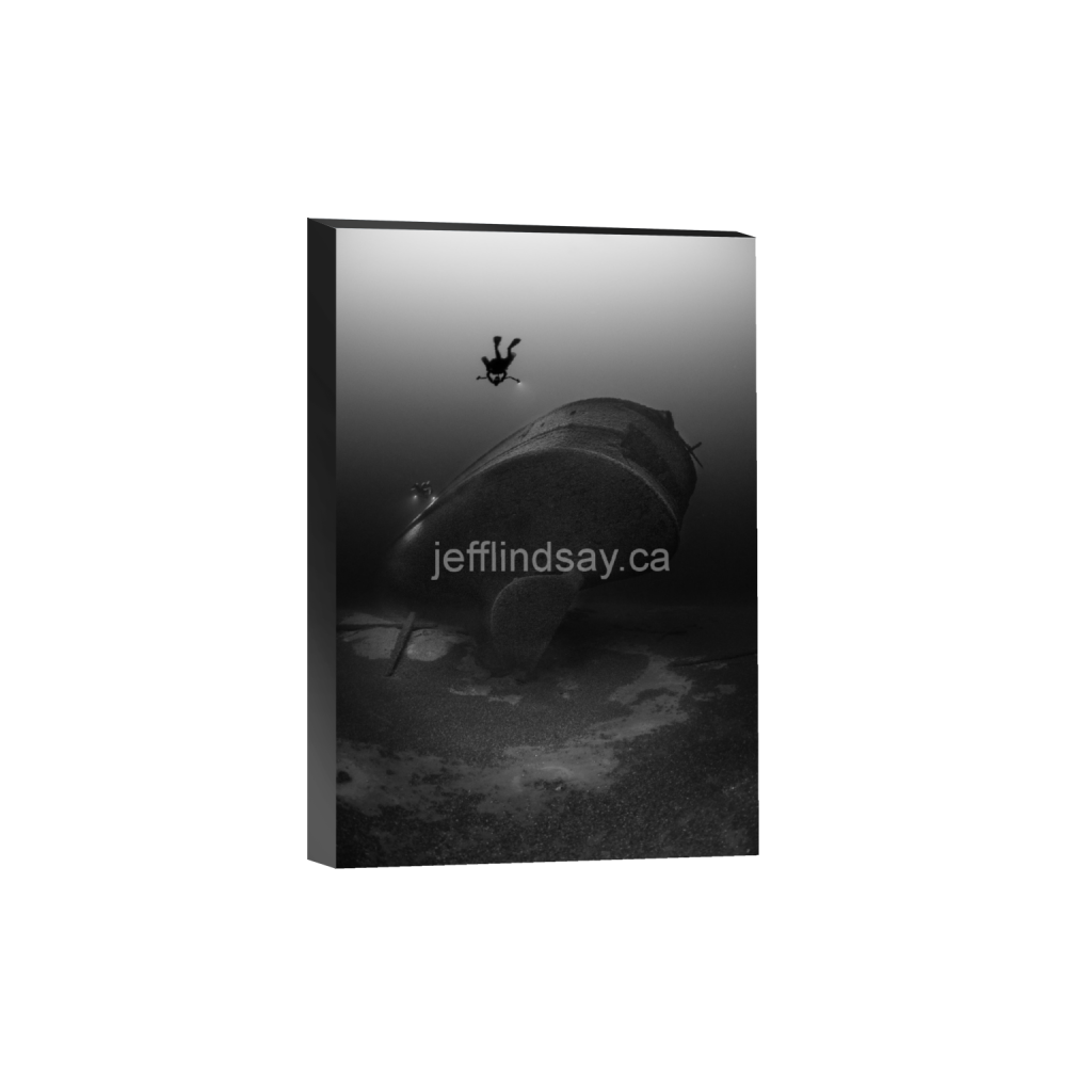 ptq_32_3_0_0_5504_8256_0_false_ffffff_0_0_91012b8dc3c2450bbc26c1a89706f0d0.png