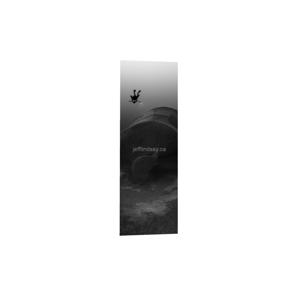 ptq_1_2_1376_0_2752_8256_0_false_ffffff_0_0_91012b8dc3c2450bbc26c1a89706f0d0.png