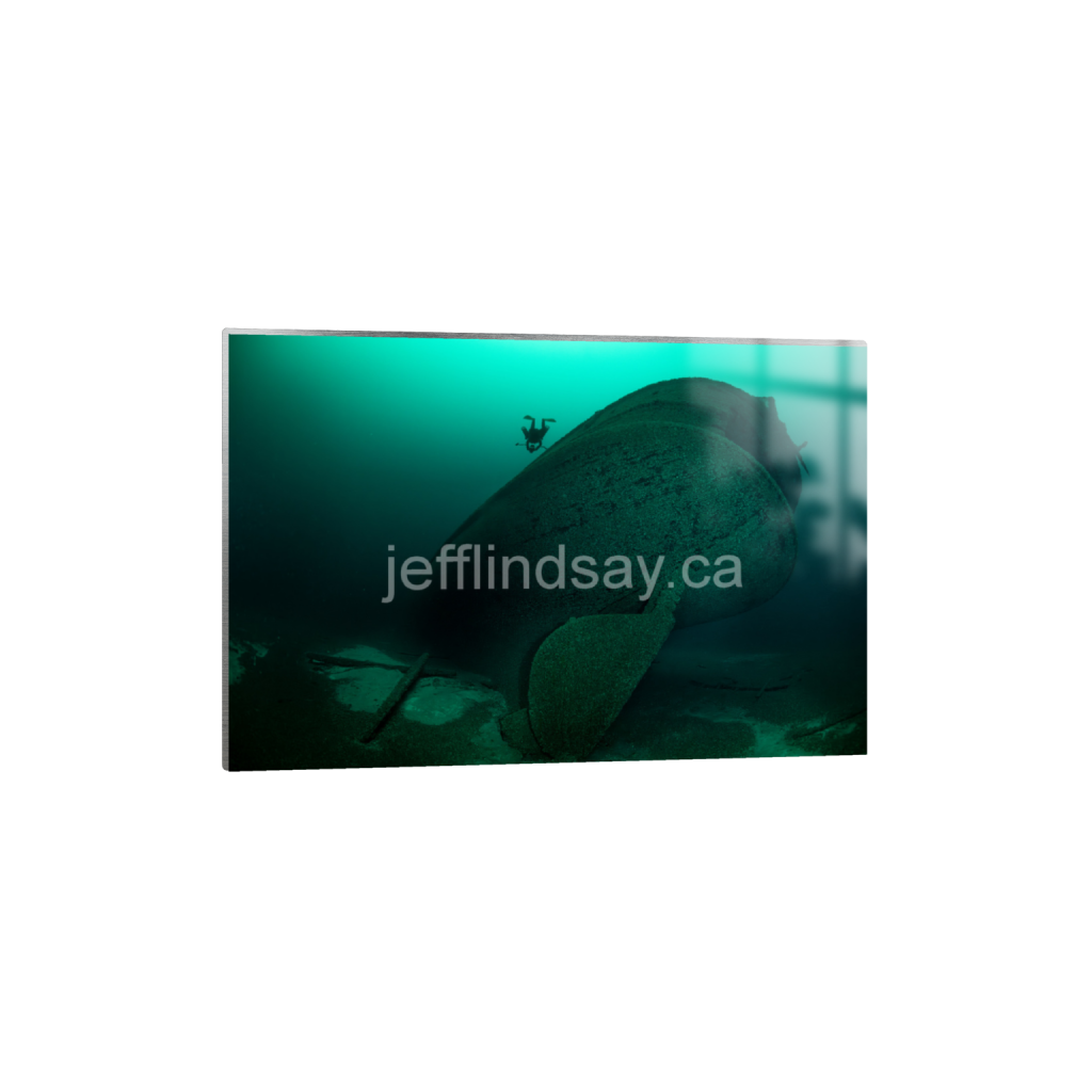 ptq_13_3_0_0_8256_5504_0_false_ffffff_0_0_91012b8dc3c2450bbc26c1a89706f0d0.png