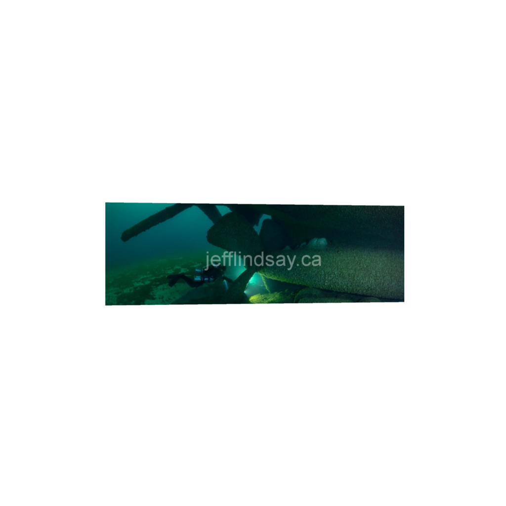 ptq_1_2_0_810_4928_1642_0_false_ffffff_0_0_91012b8dc3c2450bbc26c1a89706f0d0.png