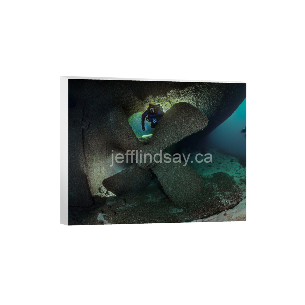 ptq_7_6_424_0_4080_3264_0_false_ffffff_0_0_91012b8dc3c2450bbc26c1a89706f0d0.png