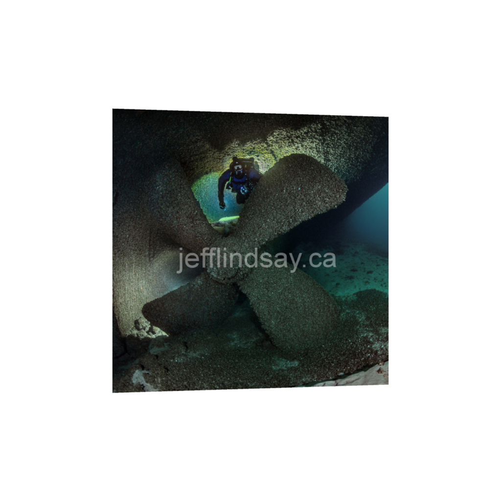 ptq_34_0_832_0_3264_3264_0_false_ffffff_0_0_91012b8dc3c2450bbc26c1a89706f0d0.png