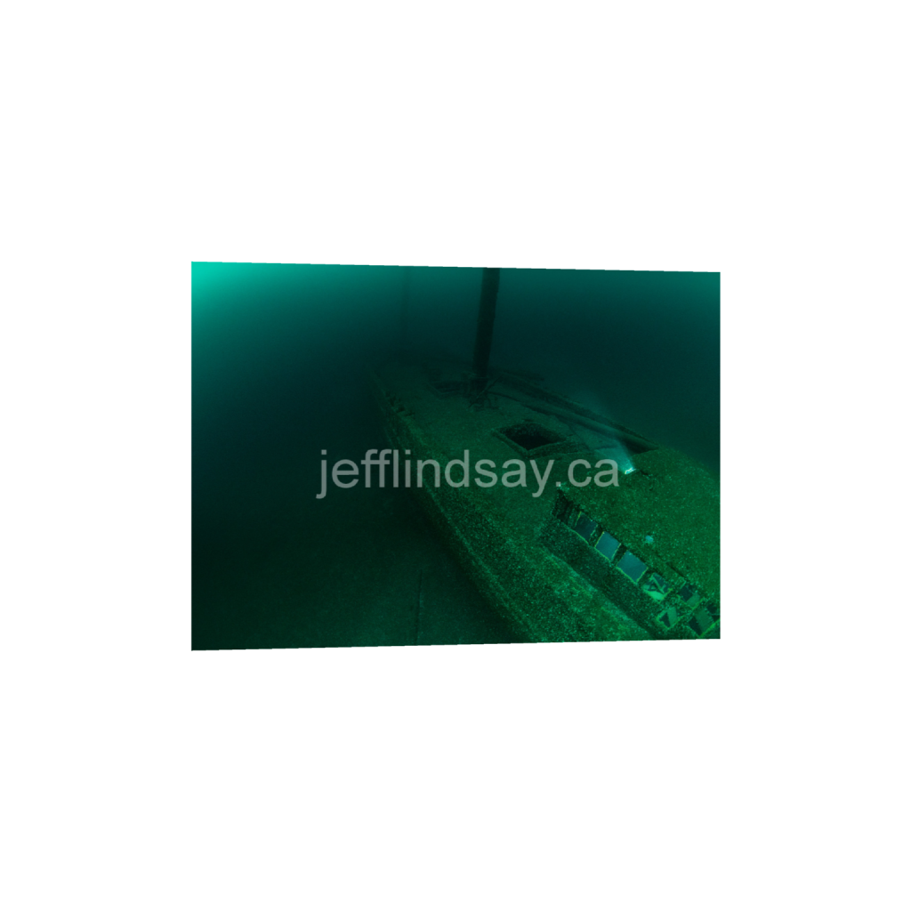 ptq_34_7_275_0_7705_5504_0_false_ffffff_0_0_91012b8dc3c2450bbc26c1a89706f0d0.png