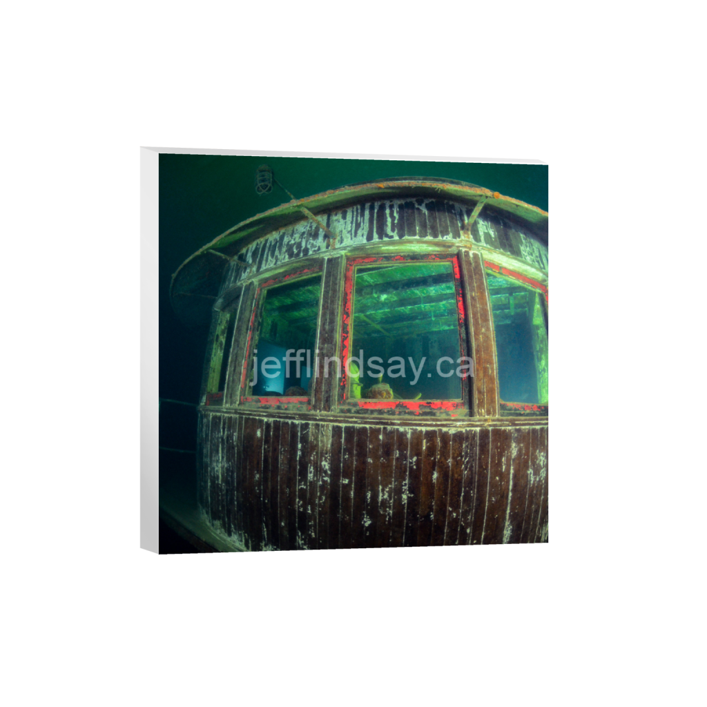 ptq_7_0_832_0_3264_3264_0_false_ffffff_0_0_91012b8dc3c2450bbc26c1a89706f0d0.png