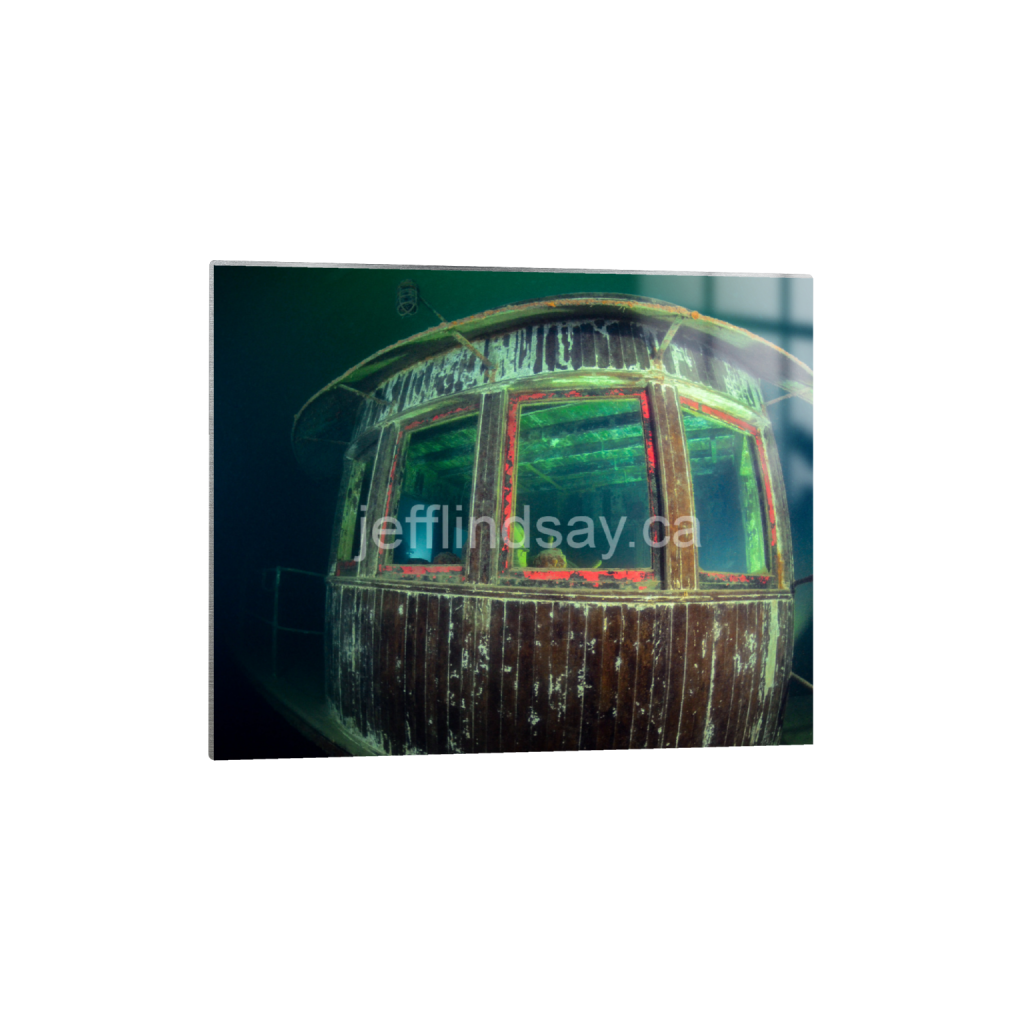 ptq_13_6_424_0_4080_3264_0_false_ffffff_0_0_91012b8dc3c2450bbc26c1a89706f0d0.png