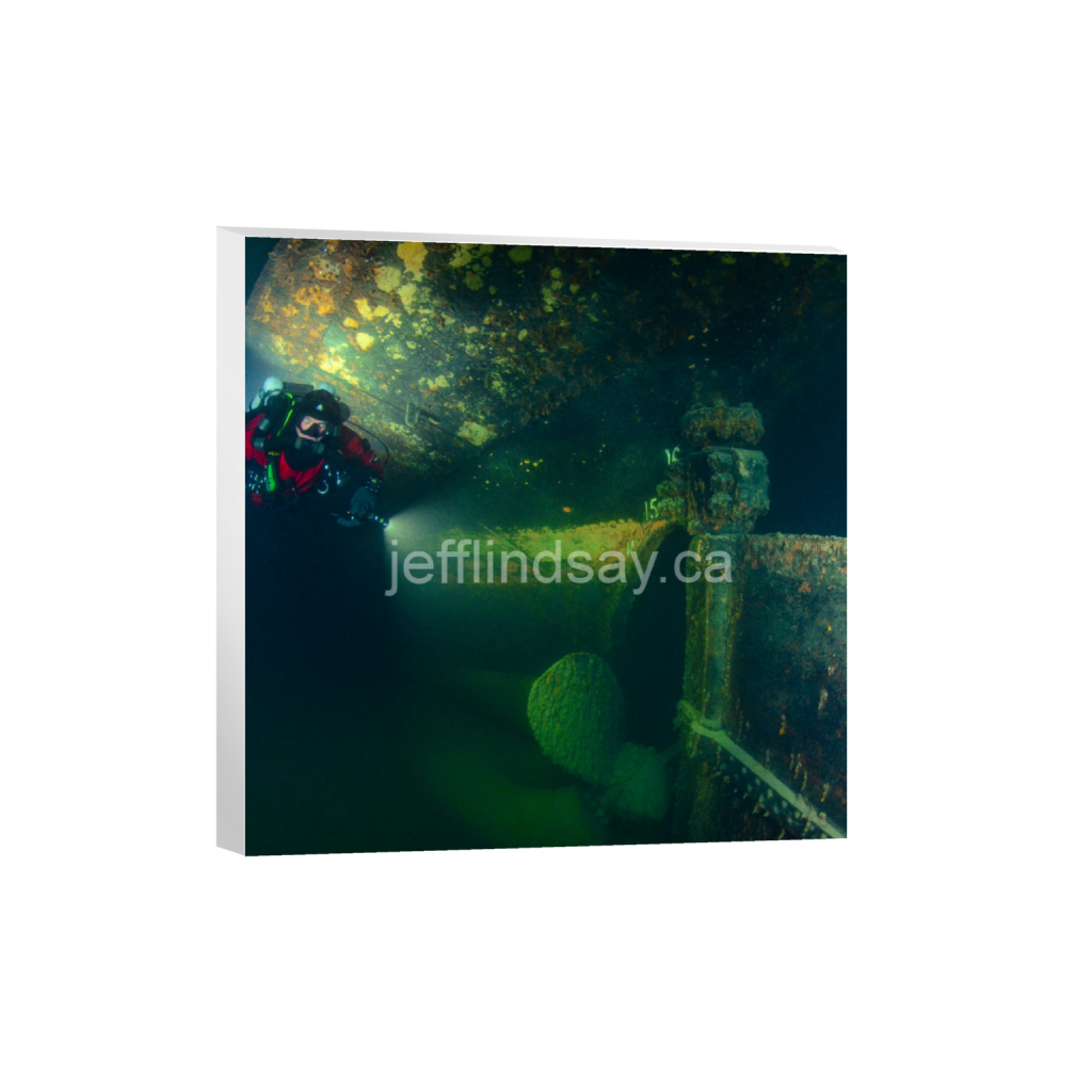 ptq_7_0_832_0_3264_3264_0_false_ffffff_0_0_91012b8dc3c2450bbc26c1a89706f0d0.png