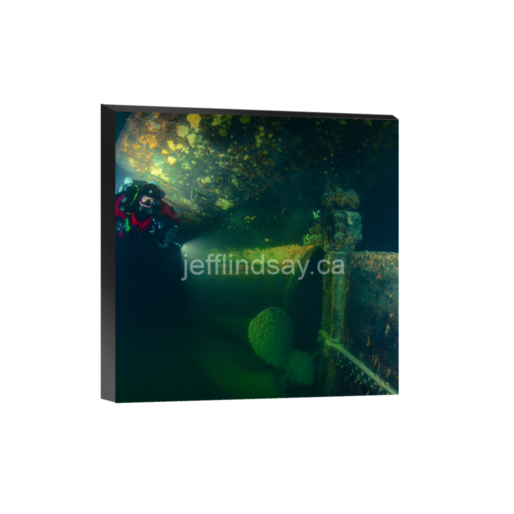 ptq_32_0_832_0_3264_3264_0_false_ffffff_0_0_91012b8dc3c2450bbc26c1a89706f0d0.png