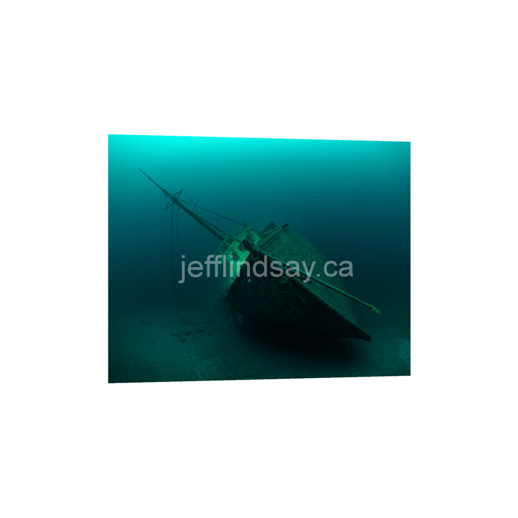 ptq_34_6_688_0_6880_5504_0_false_ffffff_0_0_91012b8dc3c2450bbc26c1a89706f0d0.png