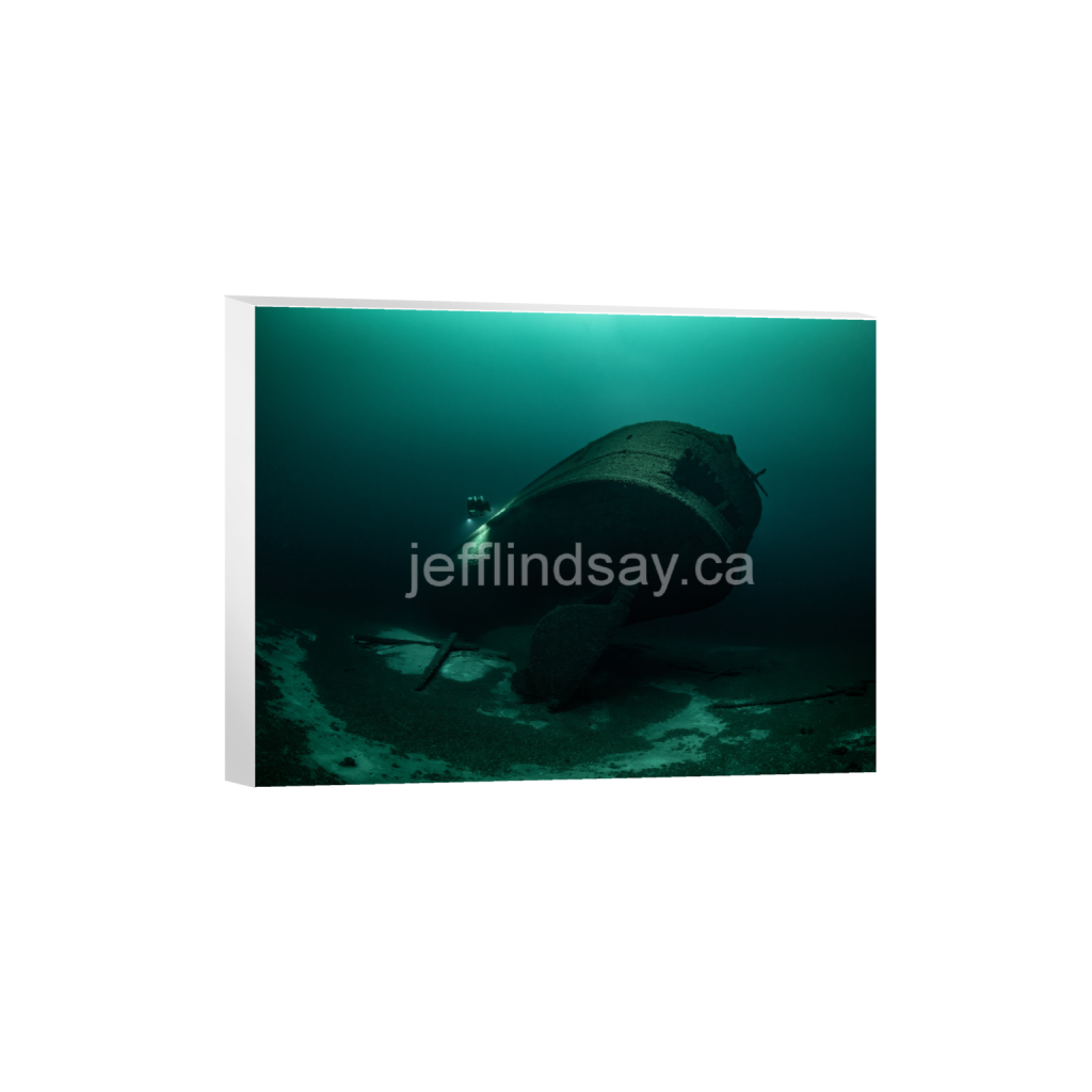 ptq_7_5_458_0_7338_5504_0_false_ffffff_0_0_91012b8dc3c2450bbc26c1a89706f0d0.png