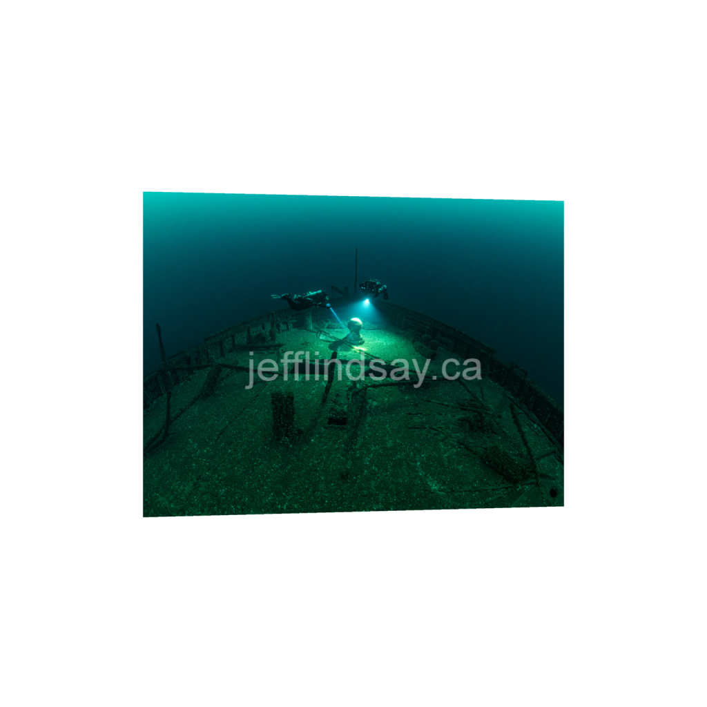 ptq_34_5_458_0_7338_5504_0_false_ffffff_0_0_91012b8dc3c2450bbc26c1a89706f0d0.png