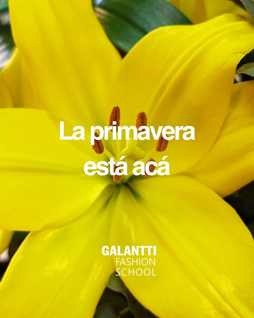 Hoy 21 de septiembre en Galantti Fashion School le damos la bienvenida. 

Fotos: @tacomunicacion