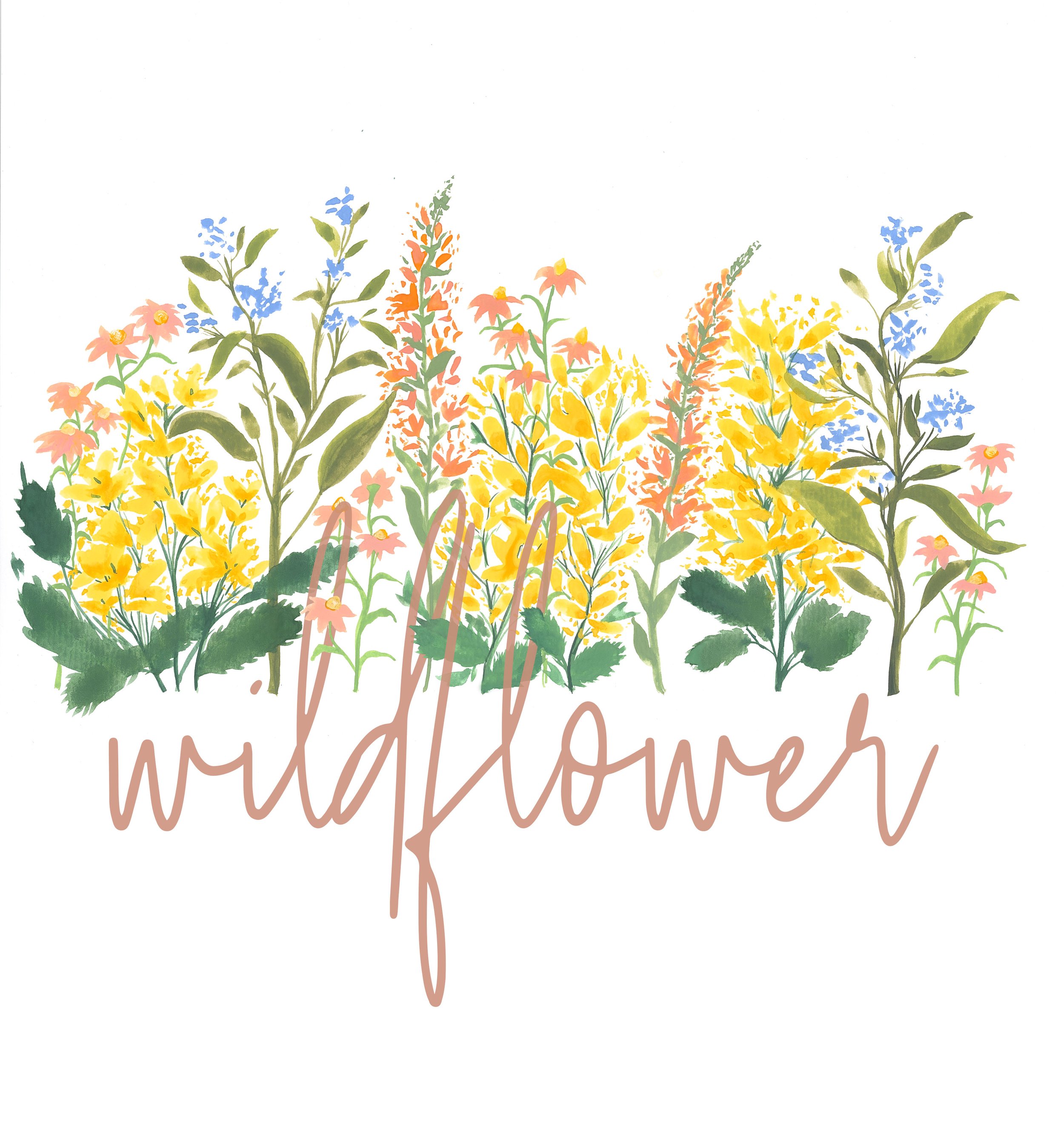 wildflower1.jpg