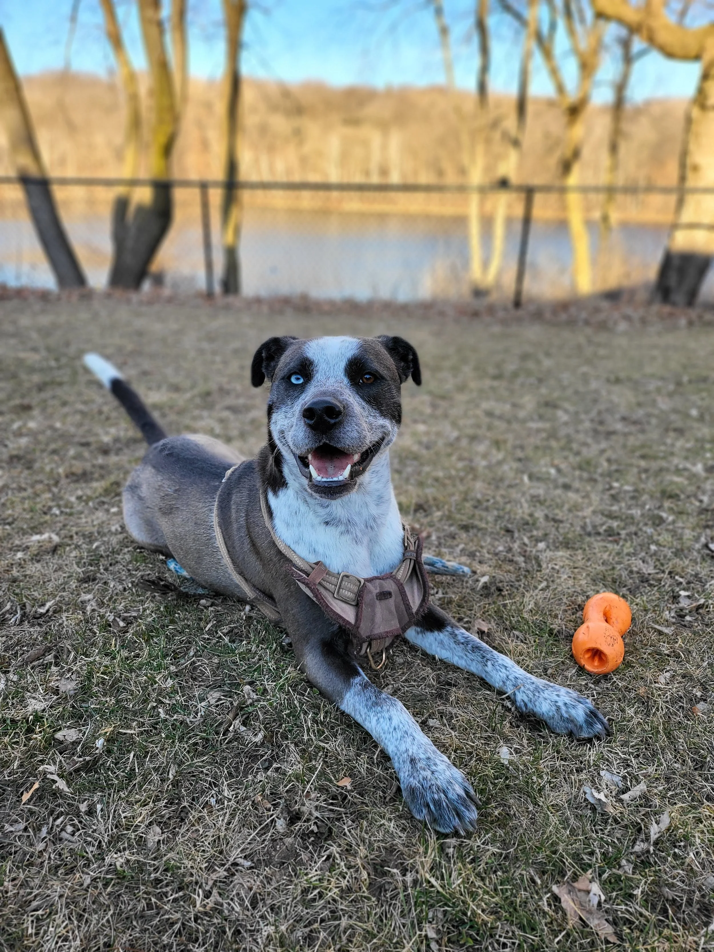 Cookie Smiles.jpg