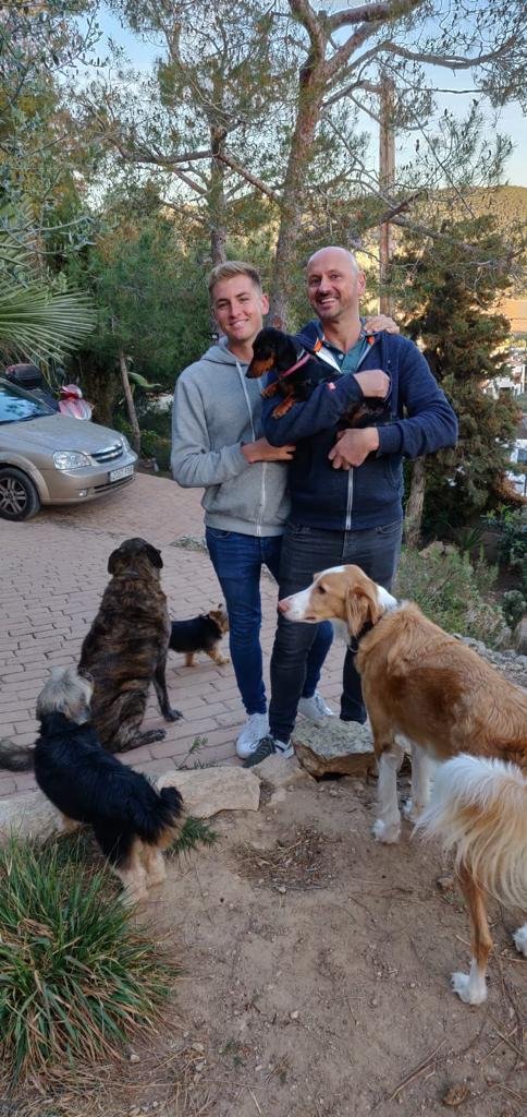 Howie Luke and doglets.jpeg