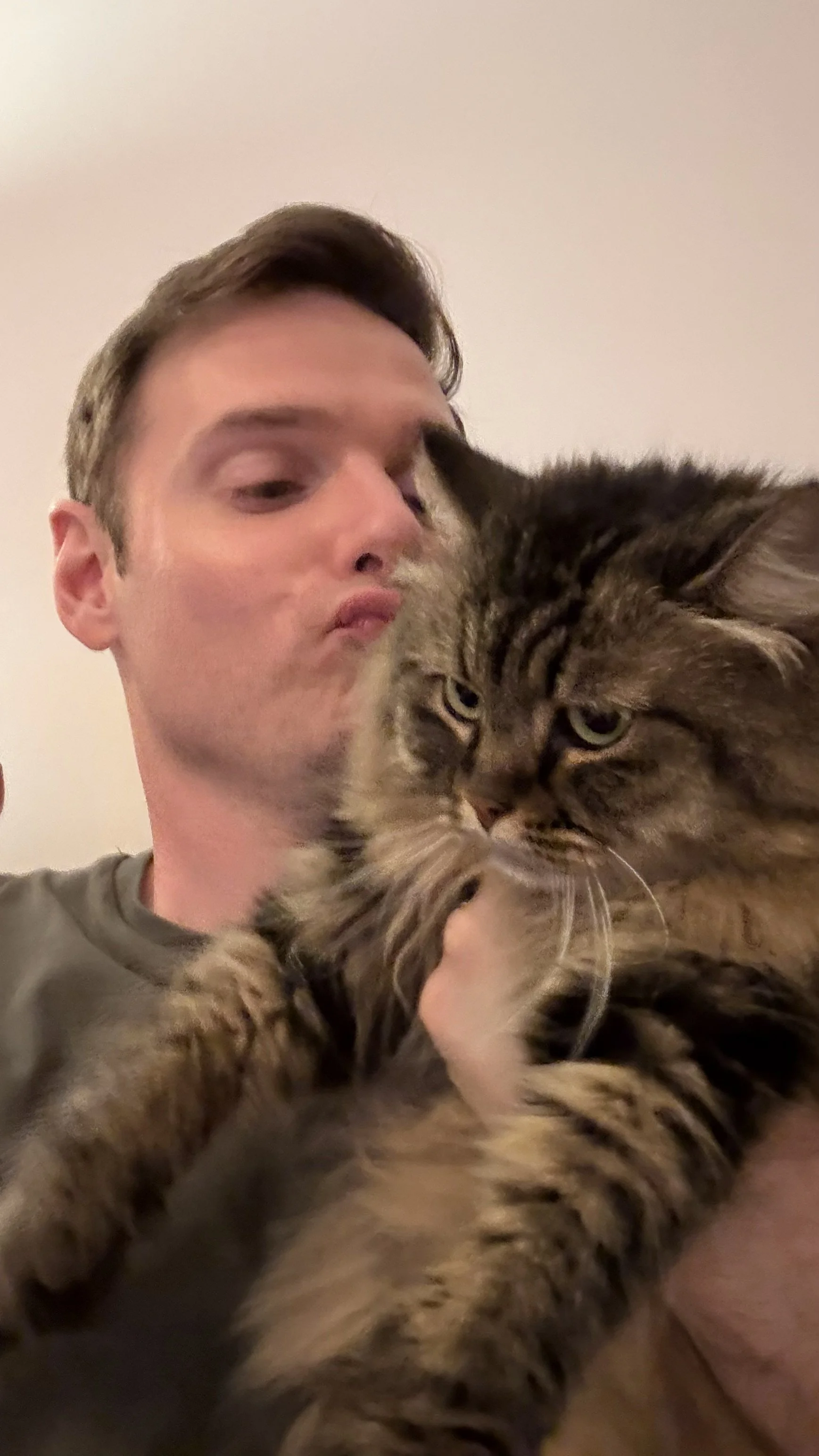 Kitty 2.jpg