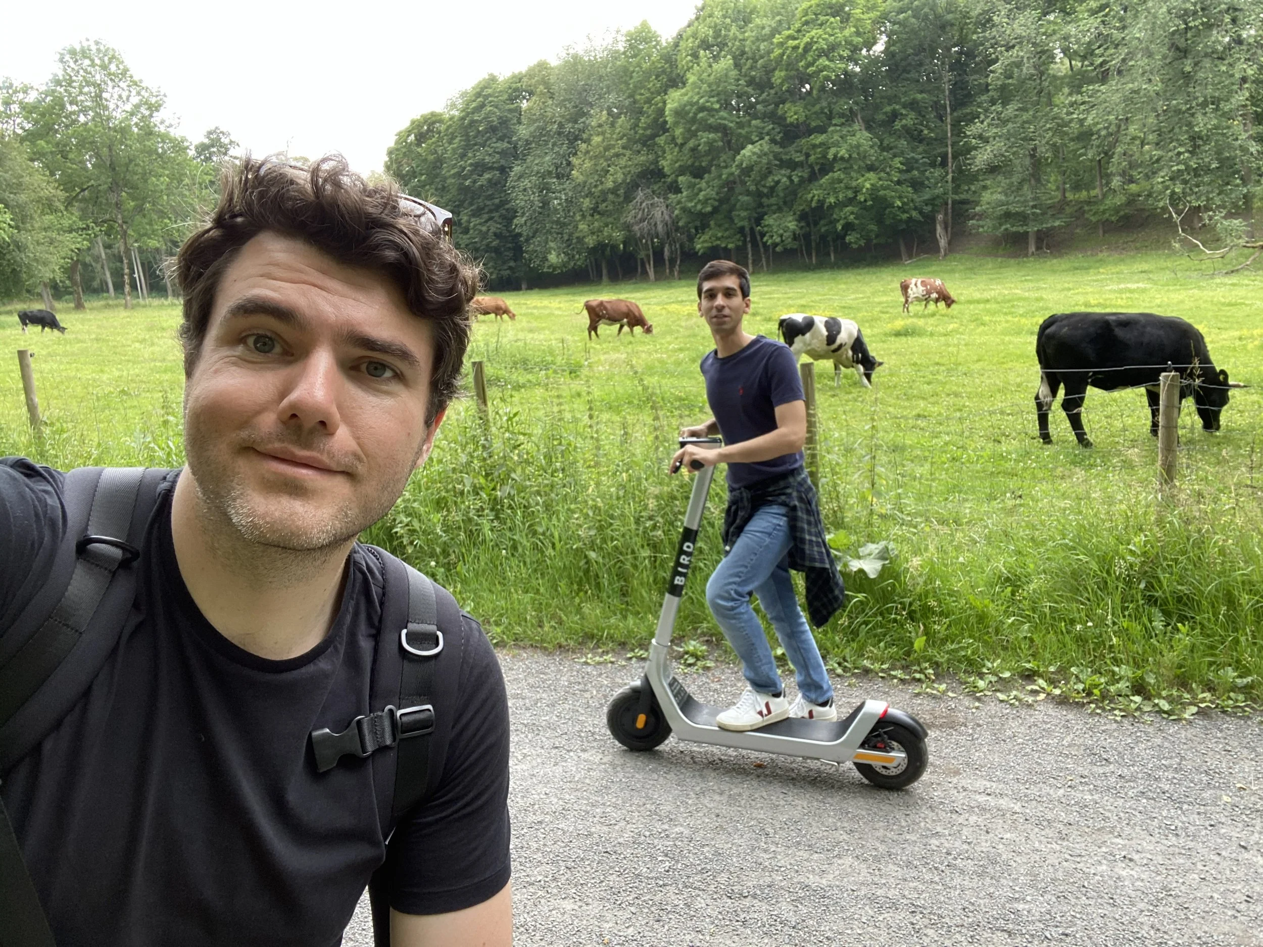 IMG_0571 2 - Copy.jpg