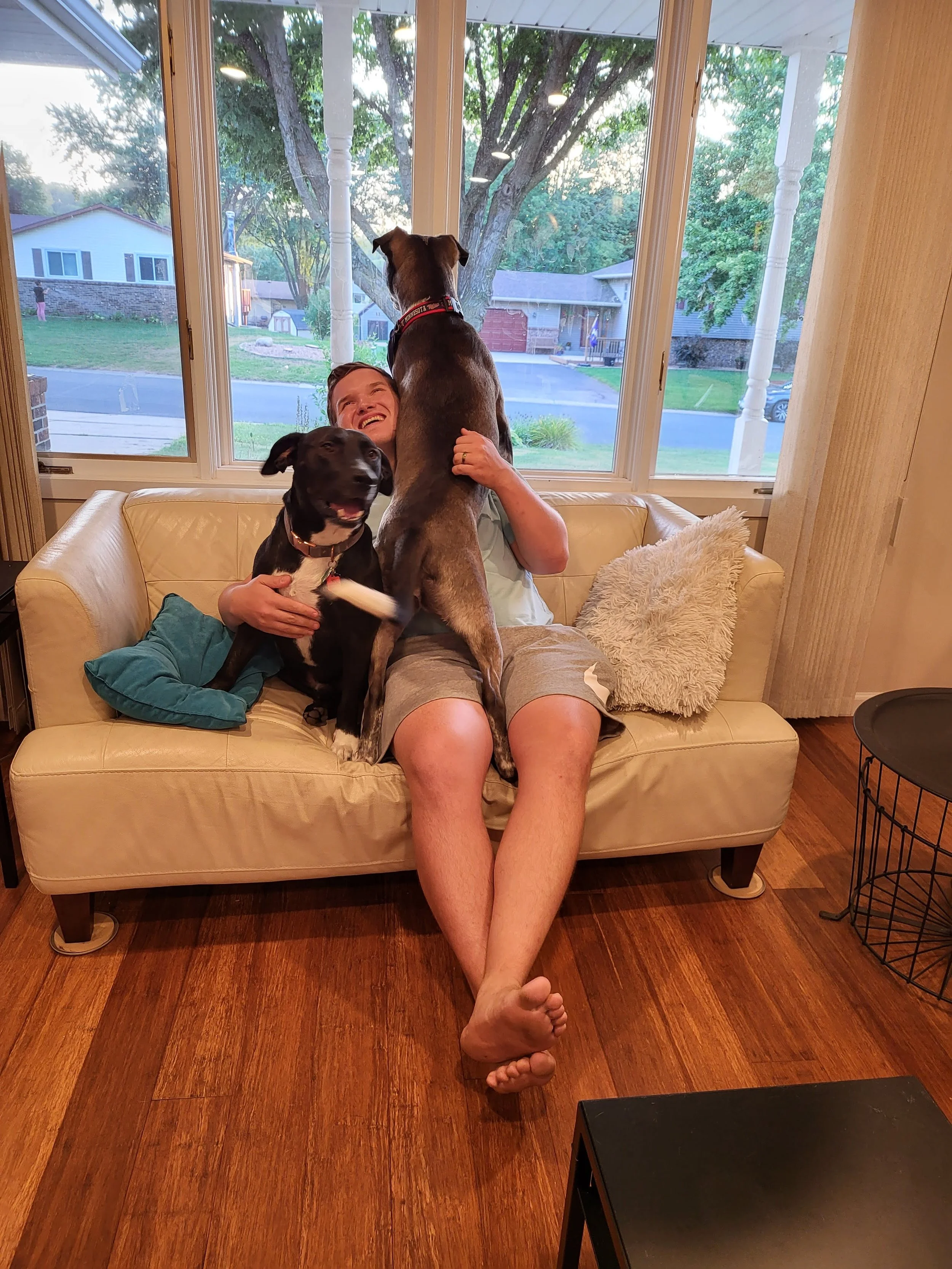 Chuck & Disty & Cookie.jpg