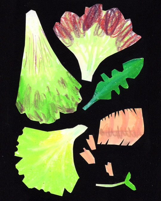 a salad to eat with your hands + evoo + salt + punchy vinegar
