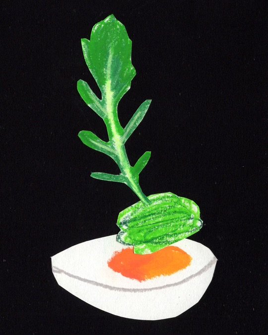 arugula pesto + jammy egg