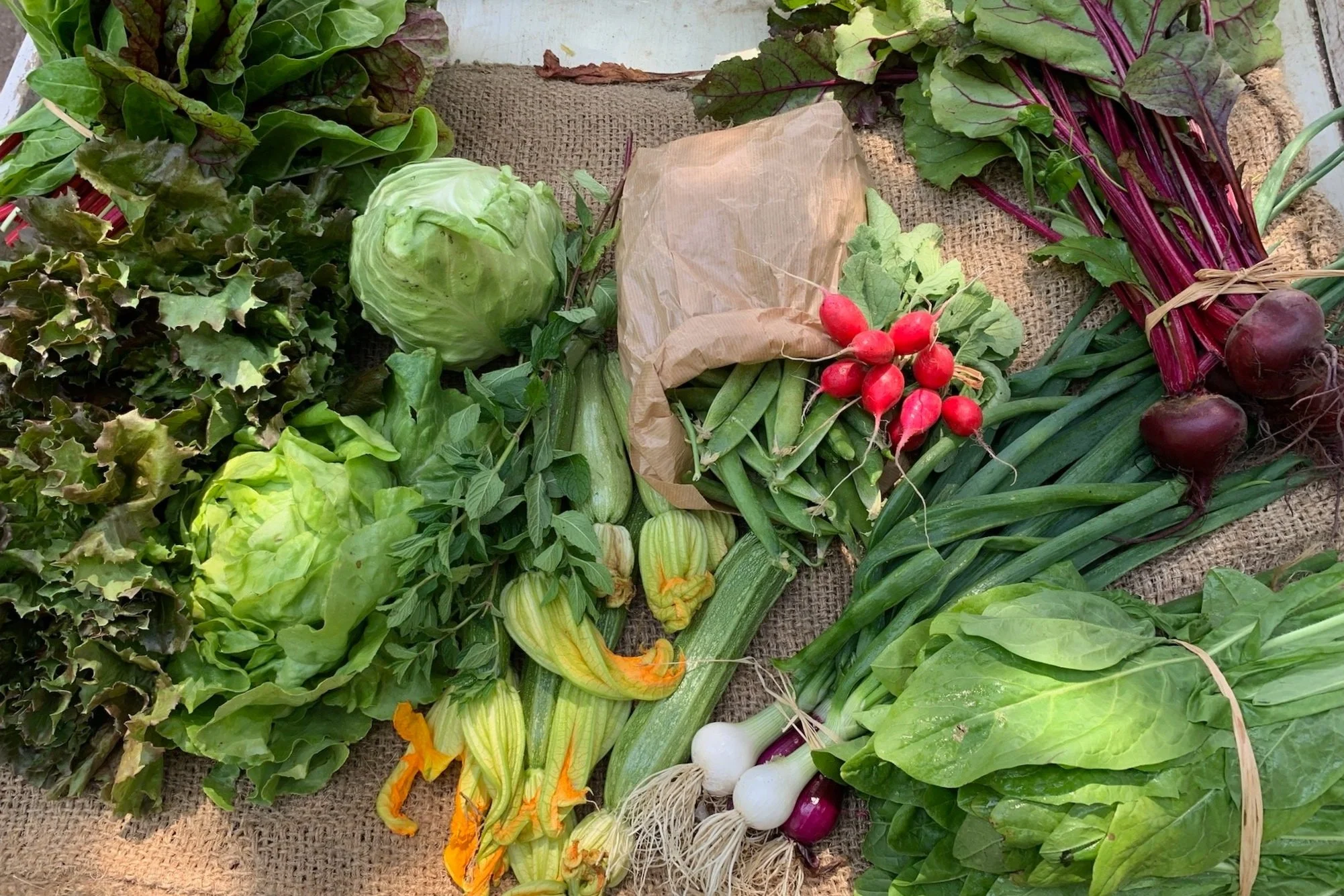 shop — Dancing Greens Farm