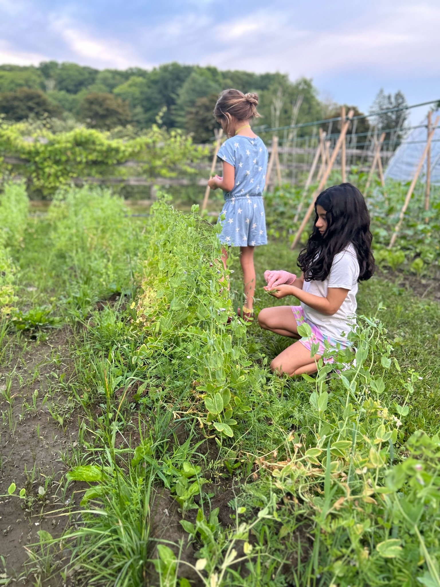 sunday on the farm: for the kids!